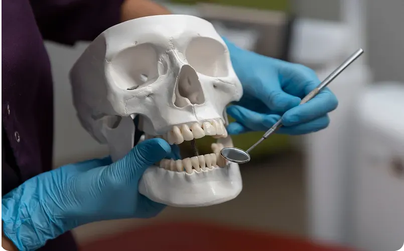 Smiling dentist